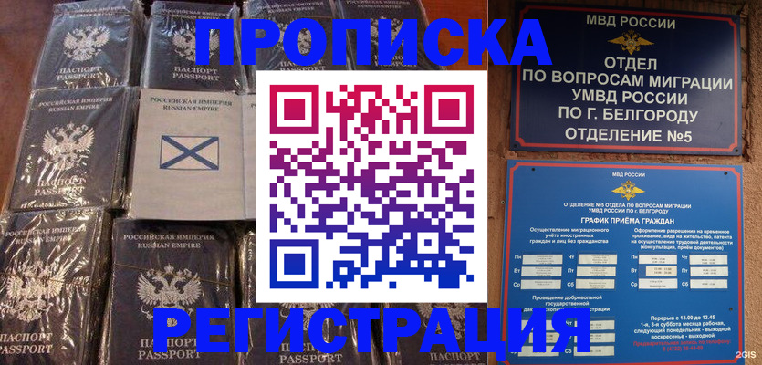 прописка гарантия в Вязьме